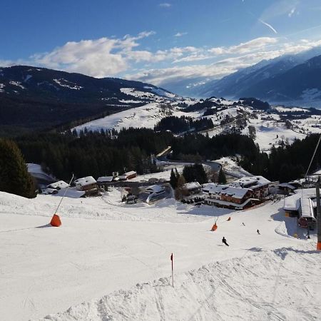 Panorama Chalet Mittersill Exterior foto